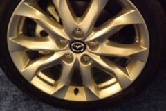 albany-car-show-rims-59