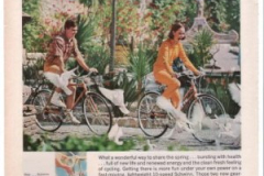 thevintagecarshow-428