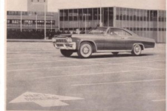 thevintagecarshowbw-160
