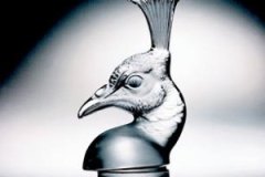tete-de-paone-peacock-head-lalique