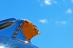 thevinatgecarshow-car-emblems-10