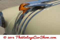 thevinatgecarshow-car-emblems-12