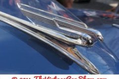 thevinatgecarshow-car-emblems-16