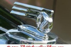 thevinatgecarshow-car-emblems-18