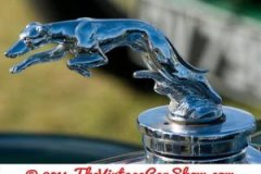 thevinatgecarshow-car-emblems-20