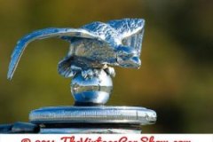 thevinatgecarshow-car-emblems-21