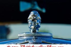 thevinatgecarshow-car-emblems-23