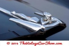 thevinatgecarshow-car-emblems-26