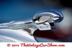 thevinatgecarshow-car-emblems-28