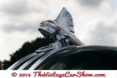 thevinatgecarshow-car-emblems-4