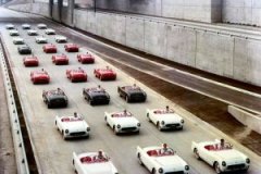1954-corvettes