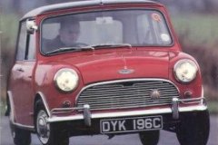 throroghbred-and-classic-cars-12