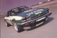 throroghbred-and-classic-cars-6