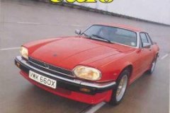 throroghbred-and-classic-cars-8