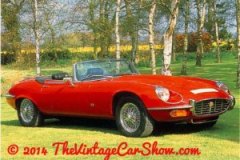 vintagecarshow-foriegn-cars-8