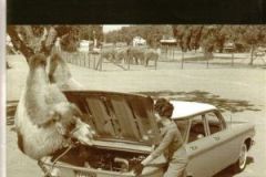 Corsa-communique-thevintagecarshow-24