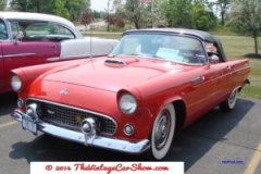 ford-1955-thunderbird-4