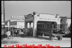 gasoline-truck-driver-getting-ready-to-fill-service-stations-tan-3