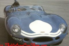 jaguar-type-d-1955