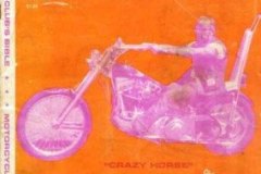 outlaw-biker-2