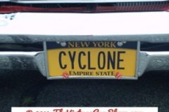 car-show-license-plates-10