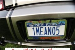 car-show-license-plates-24