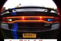 car-show-license-plates-25