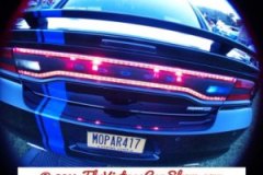 car-show-license-plates-26