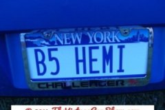 car-show-license-plates-28