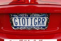 car-show-license-plates-31