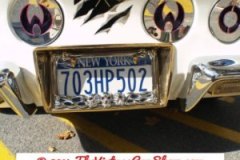 cool-car-plates-14