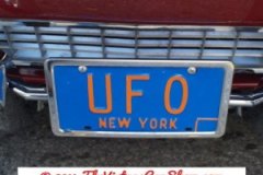 cool-car-plates-16
