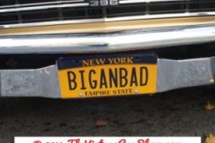 cool-car-plates-18