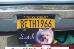 cool-car-plates-24