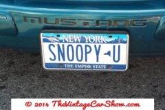 old-license-plates-13